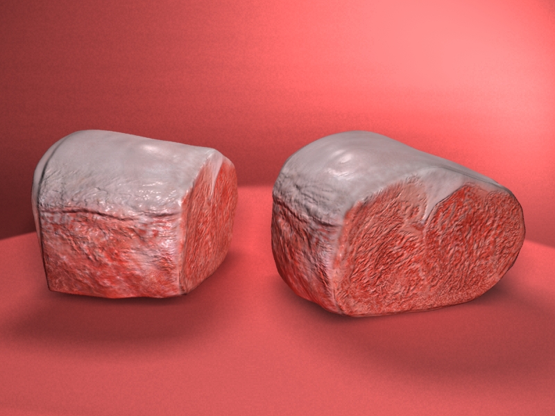 fleisch1.jpg
