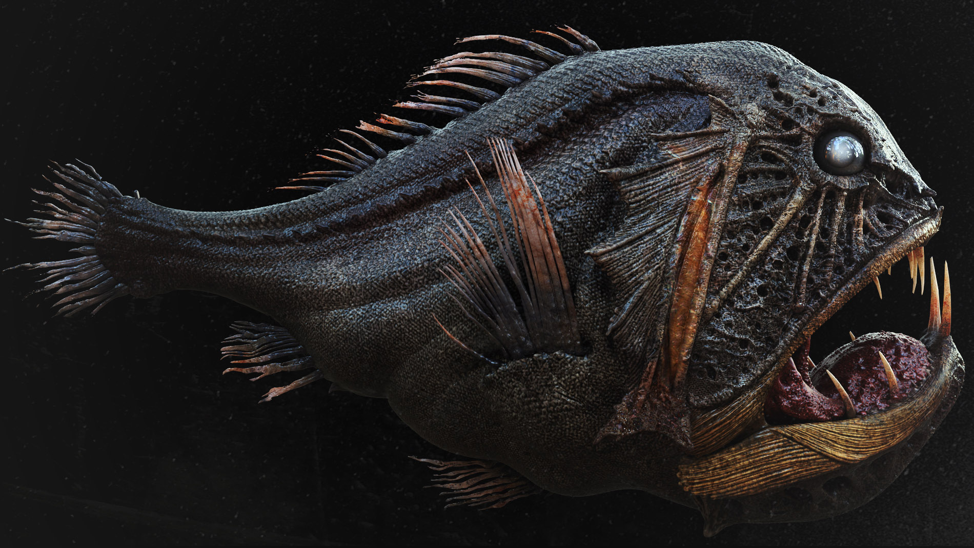 FangTooth_0004.jpg