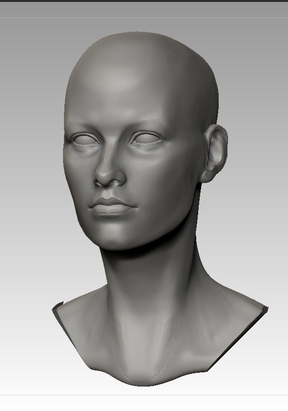 female_head_04.jpg