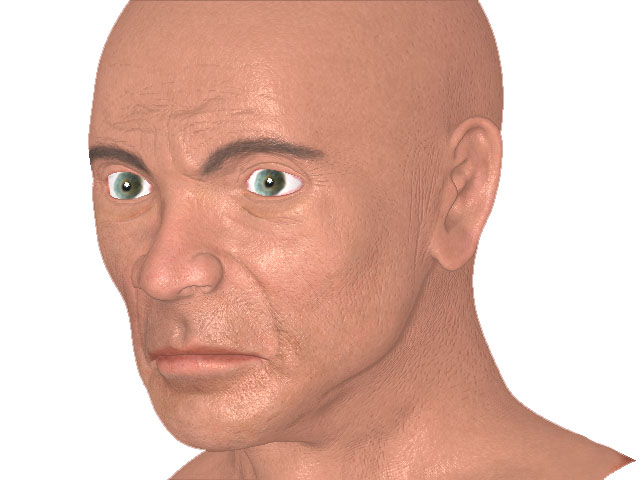 Head.jpg