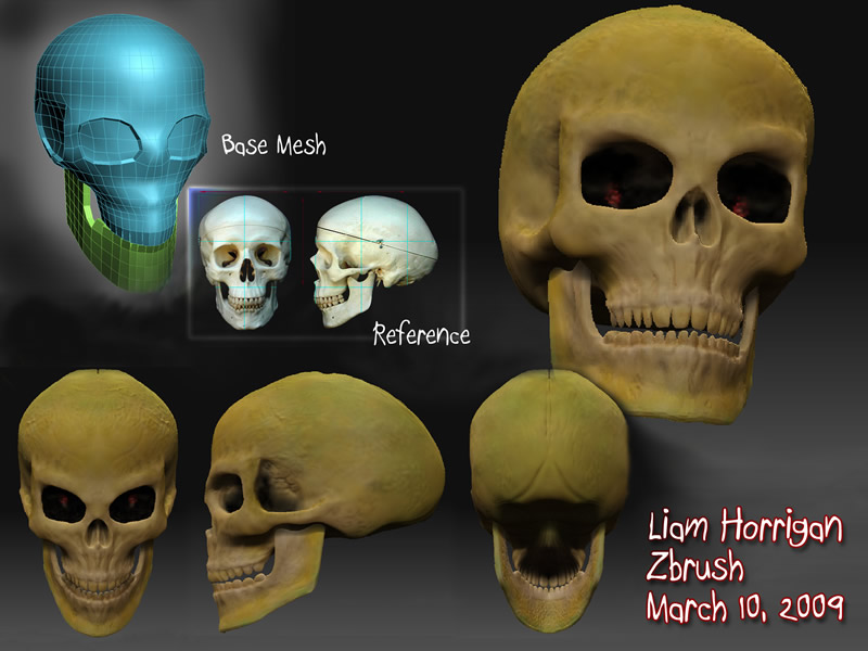 LiamHorrigan_anatomy5_small.jpg