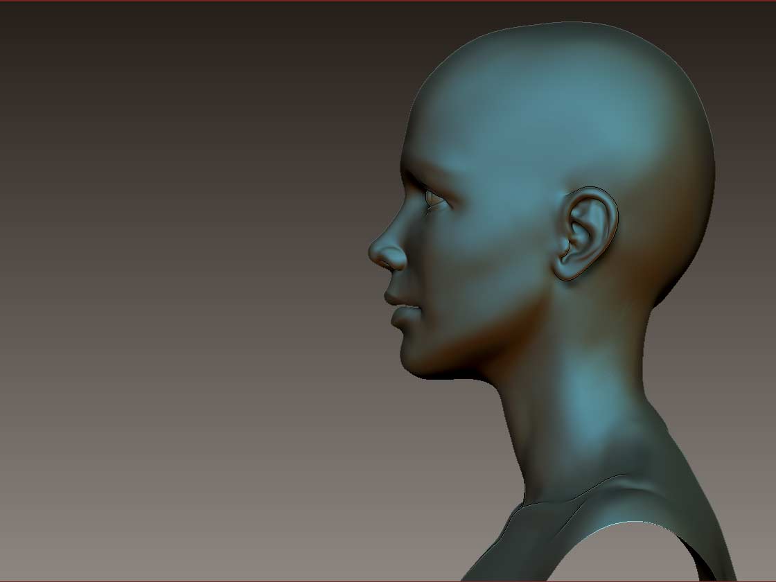 Female-Head-side-Jan-17.jpg
