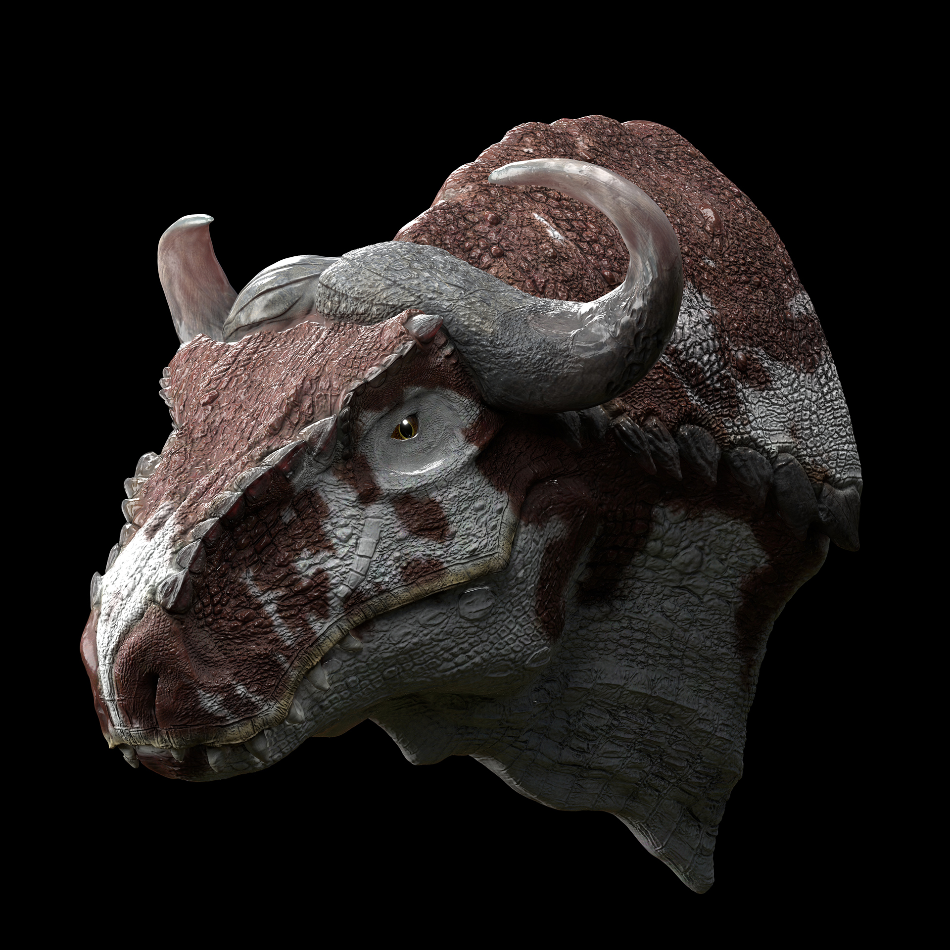 buffelorex_cam03_a_v001