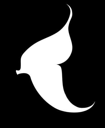 Butterflywing.jpg
