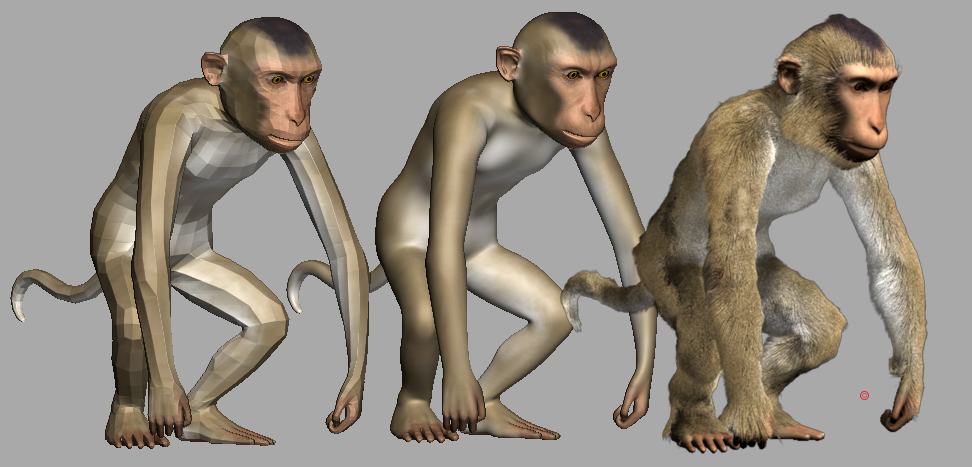 monkey.jpg