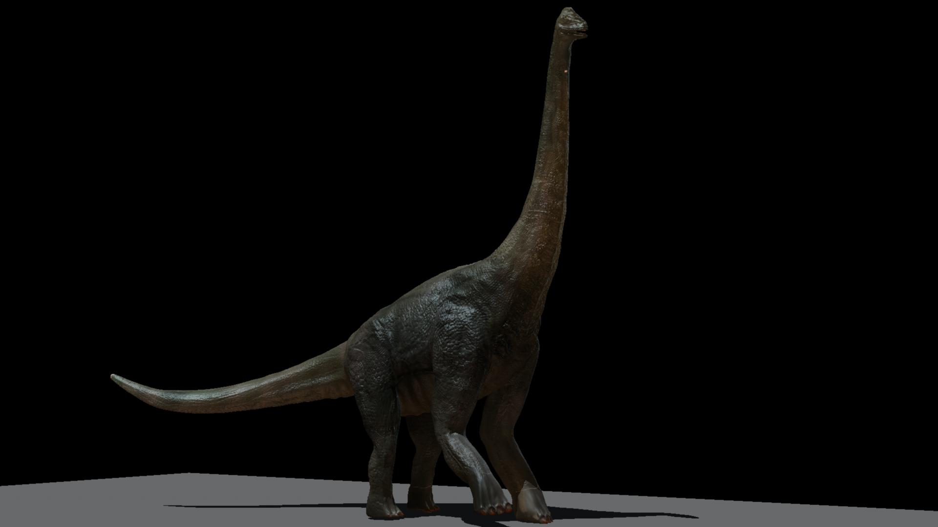 ultrasaurus met sss.jpg