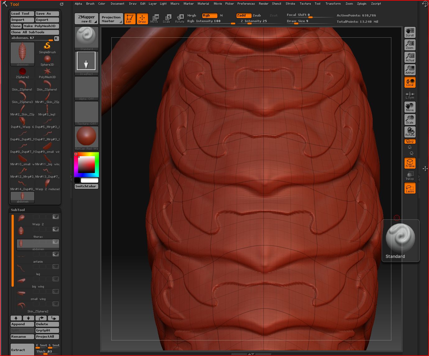 3%20abdomen-big