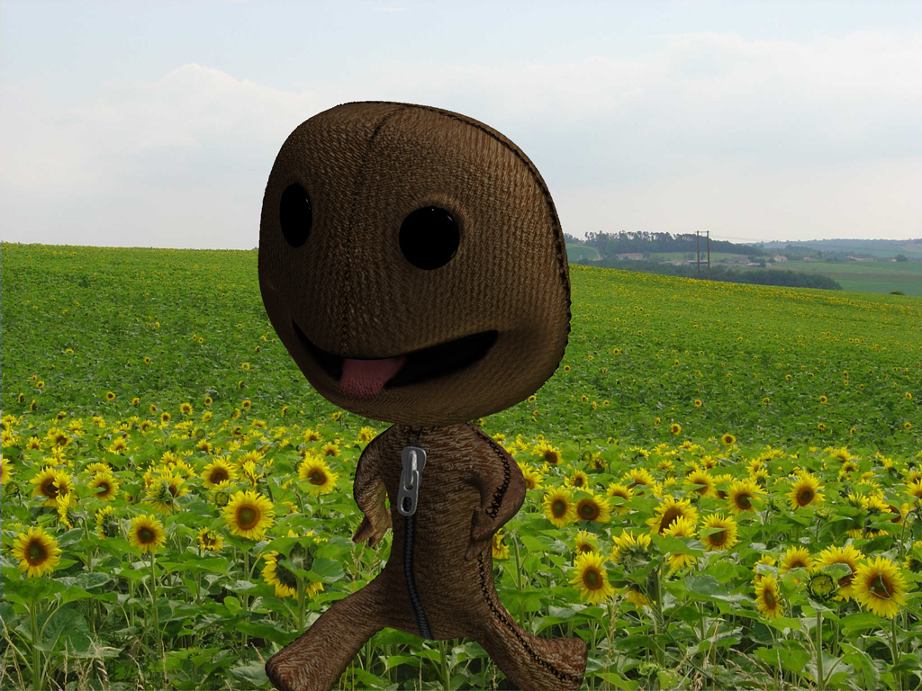 sackboyv1stposeul.jpg