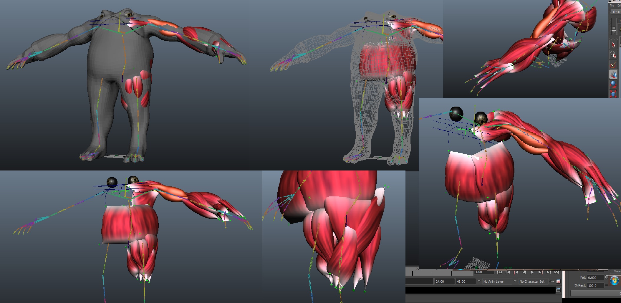 Poliwraith_progression_6.jpg