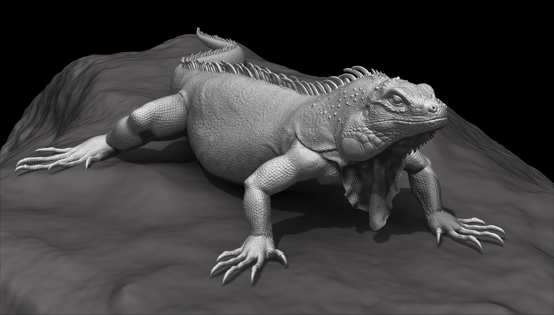 Iguana_001.jpg