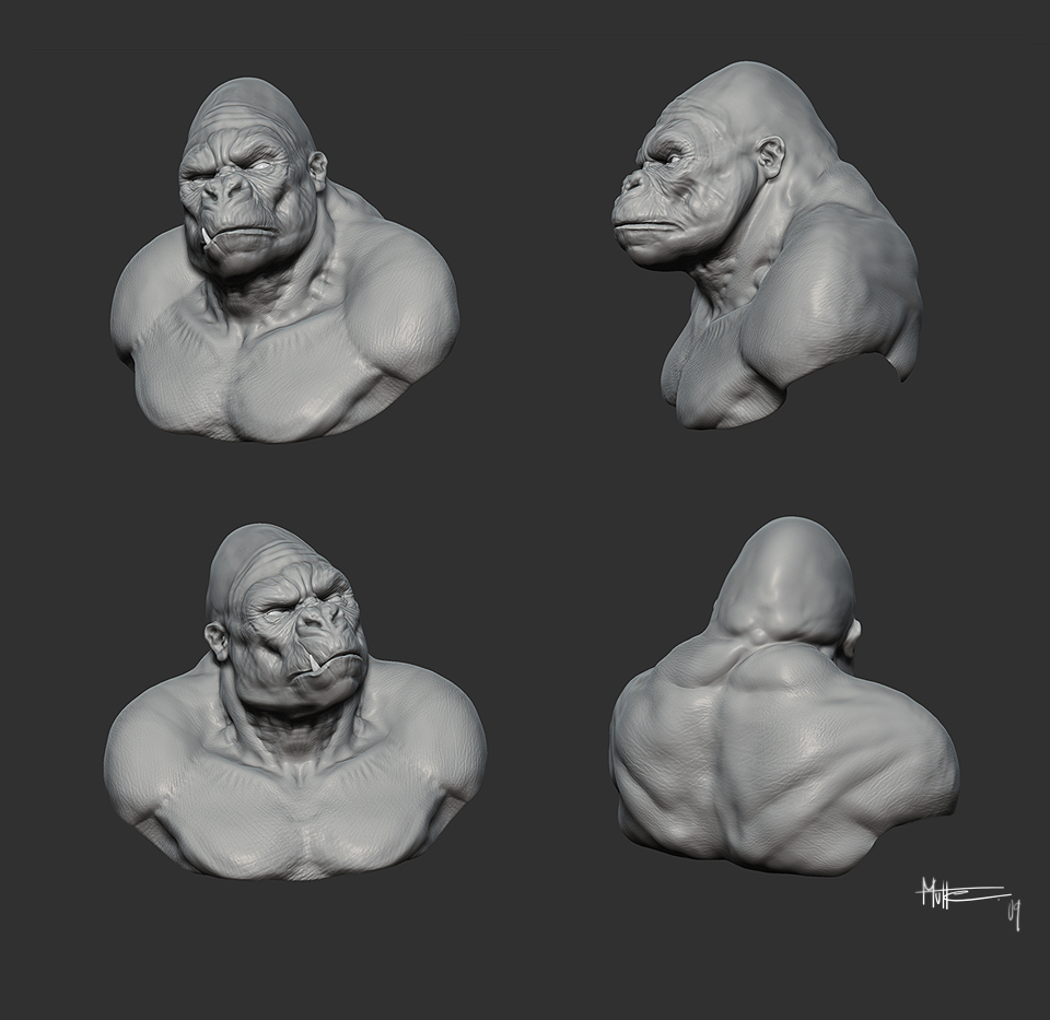 gorilla%20study