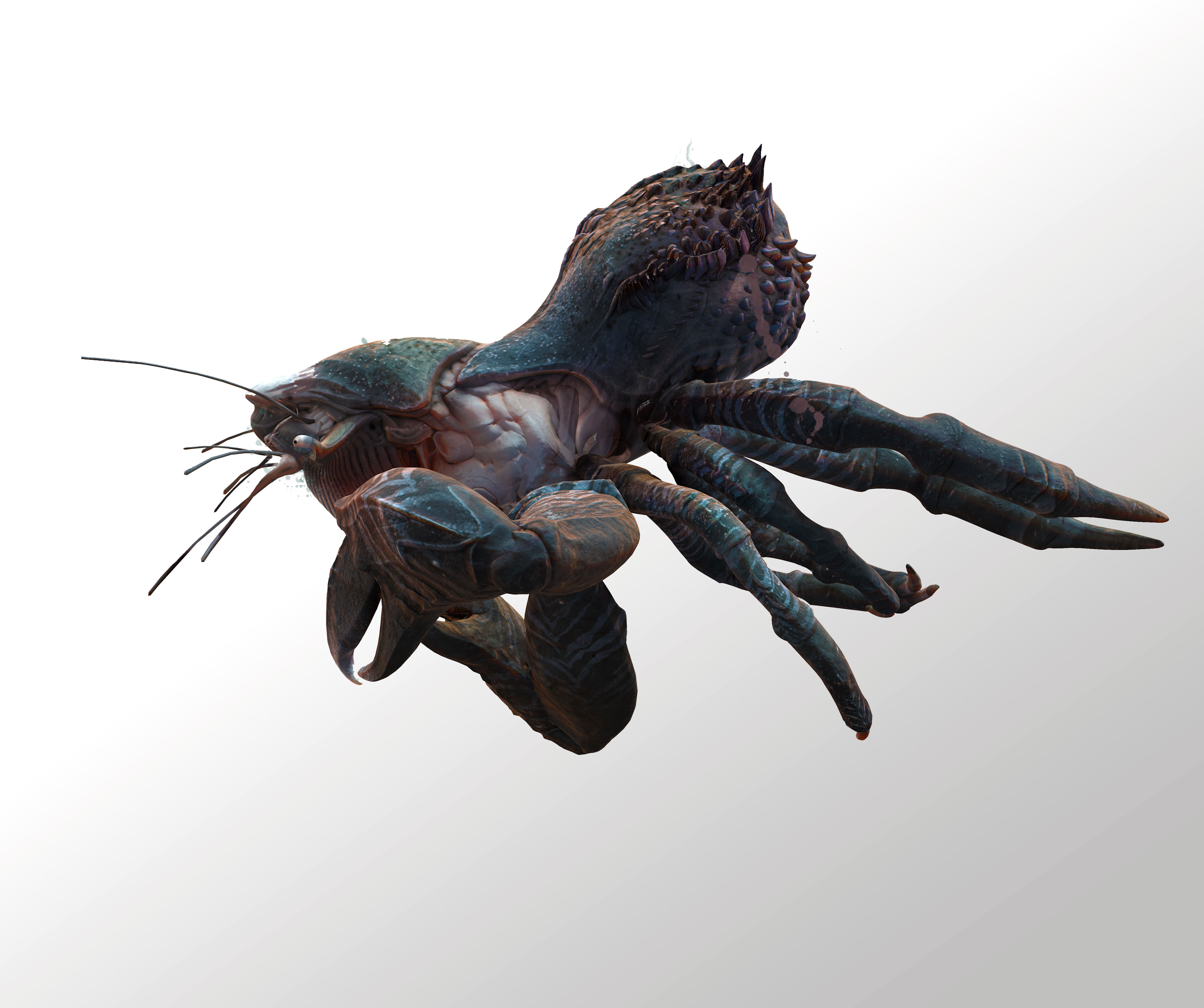 renderkewCrab01.jpg