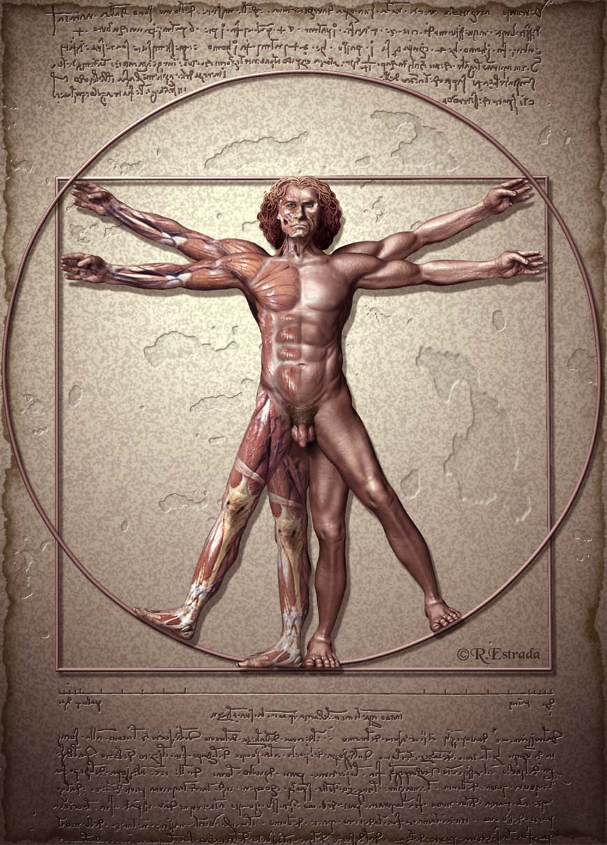 Proporcion Aurea.jpg