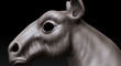horse_thumb.jpg