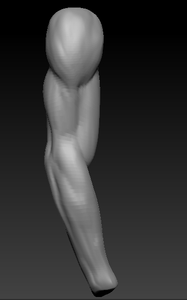 arm.jpg