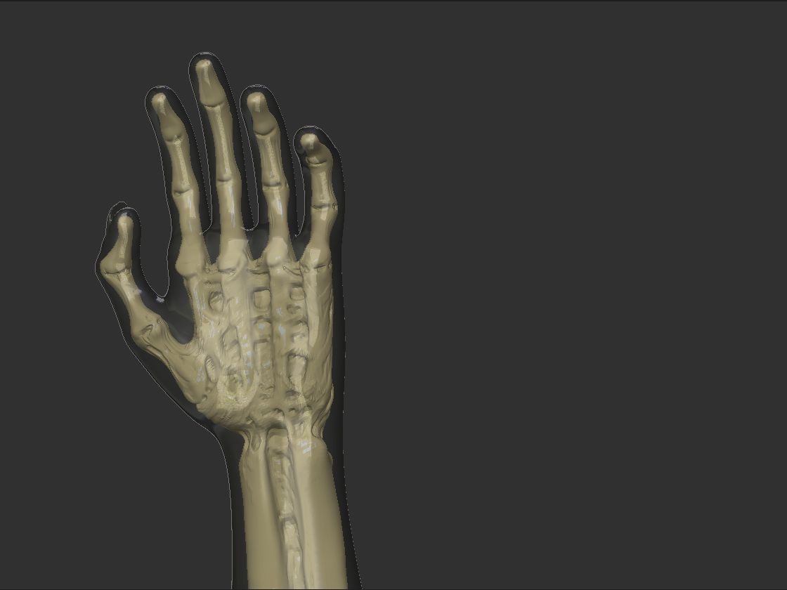 xray hand.jpg
