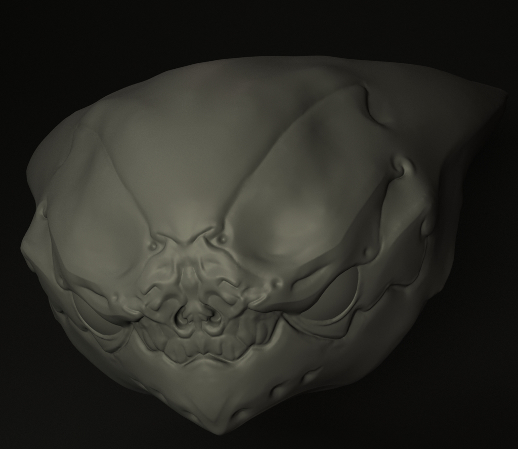 turtle.jpeg