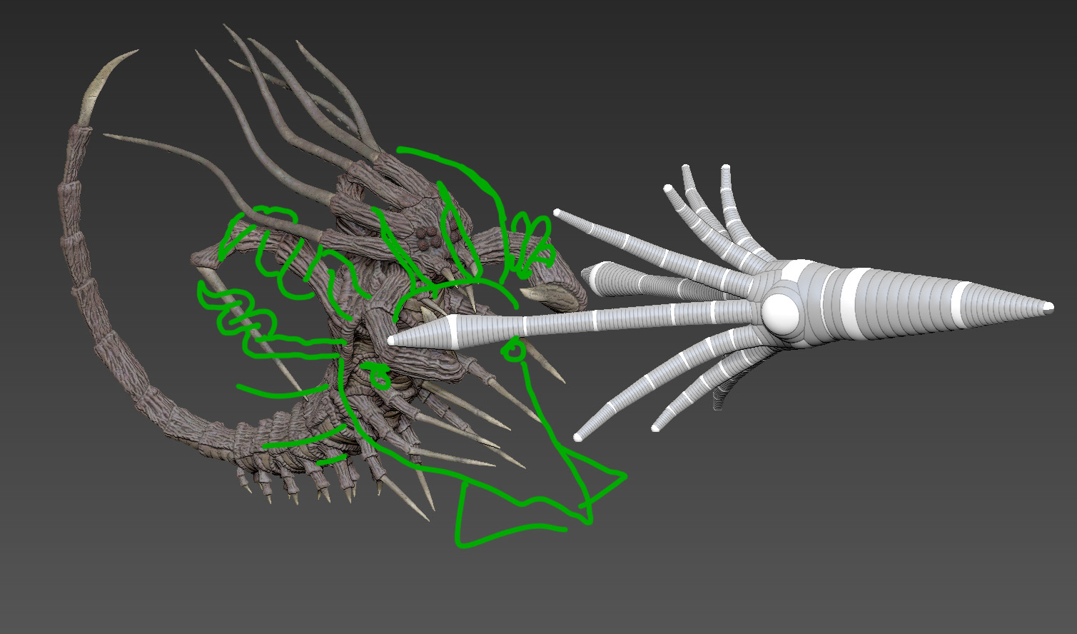squidbattlesshrimp.jpg