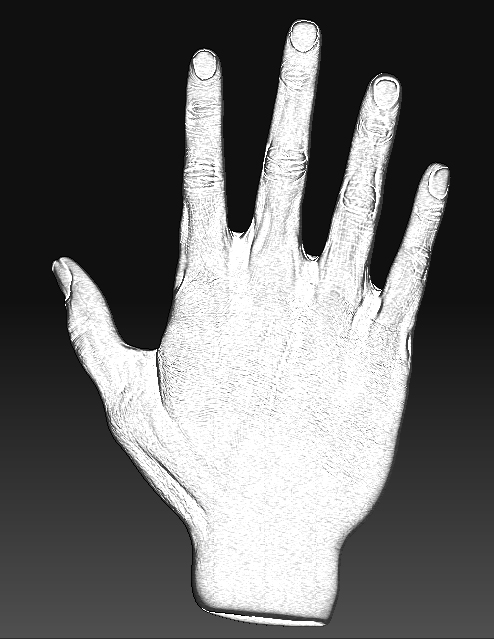 sketch hand 4.jpg