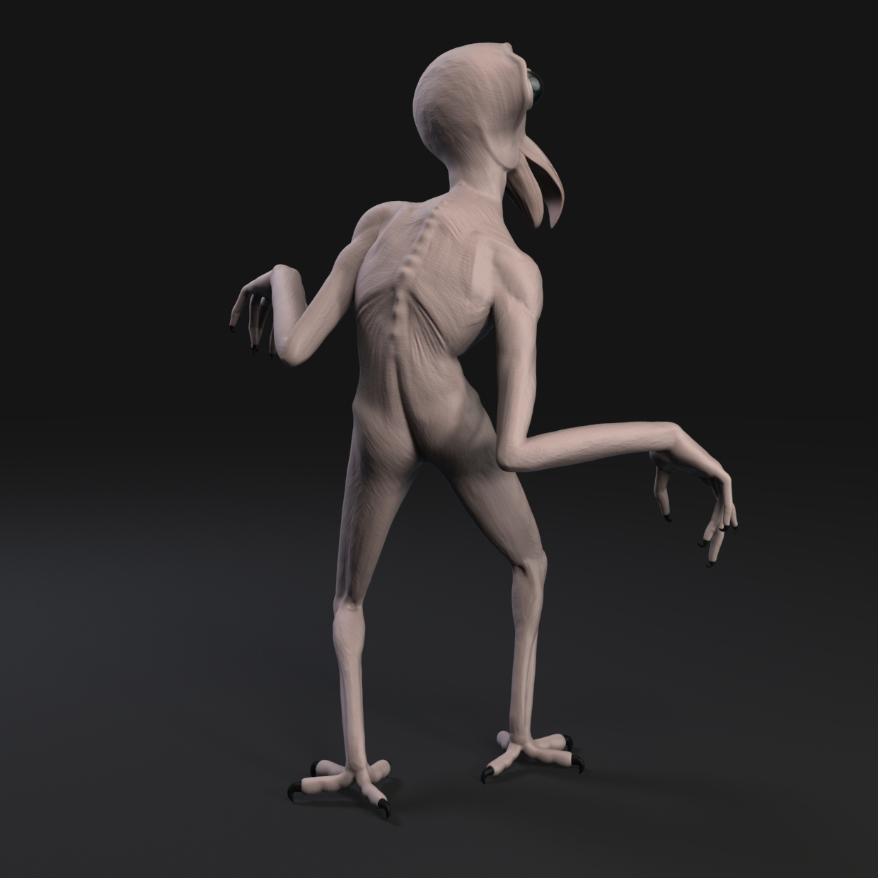 BackSquare.jpg