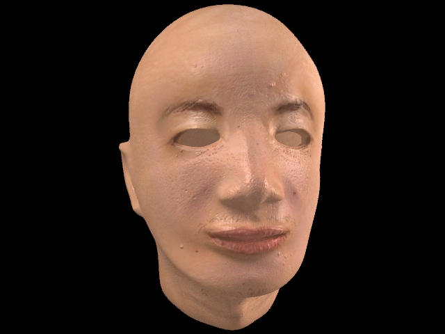 WorleyVision1.jpg