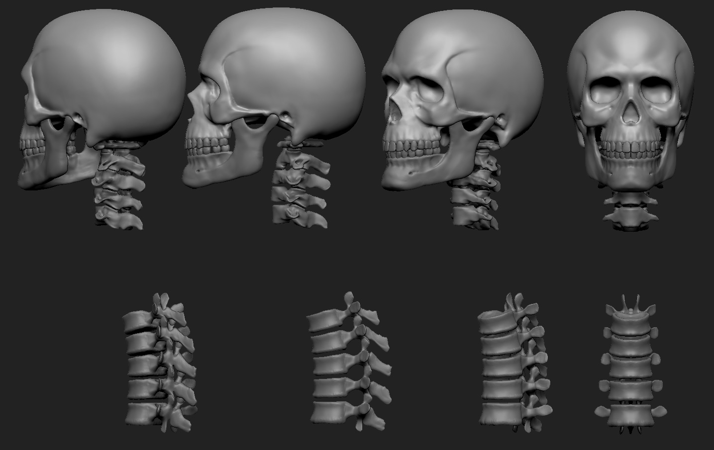 Skull02.jpg