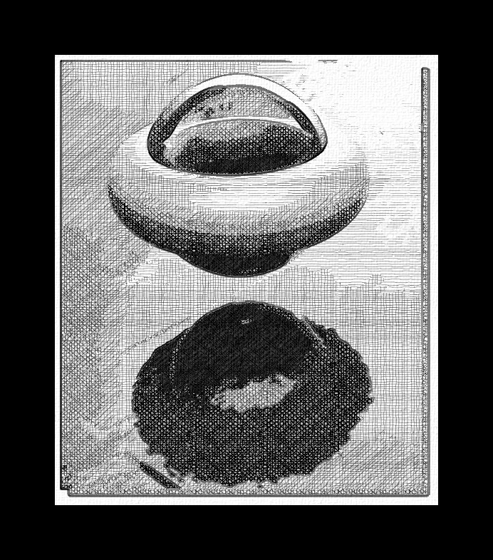 ovni1_FotoSketcher.jpg