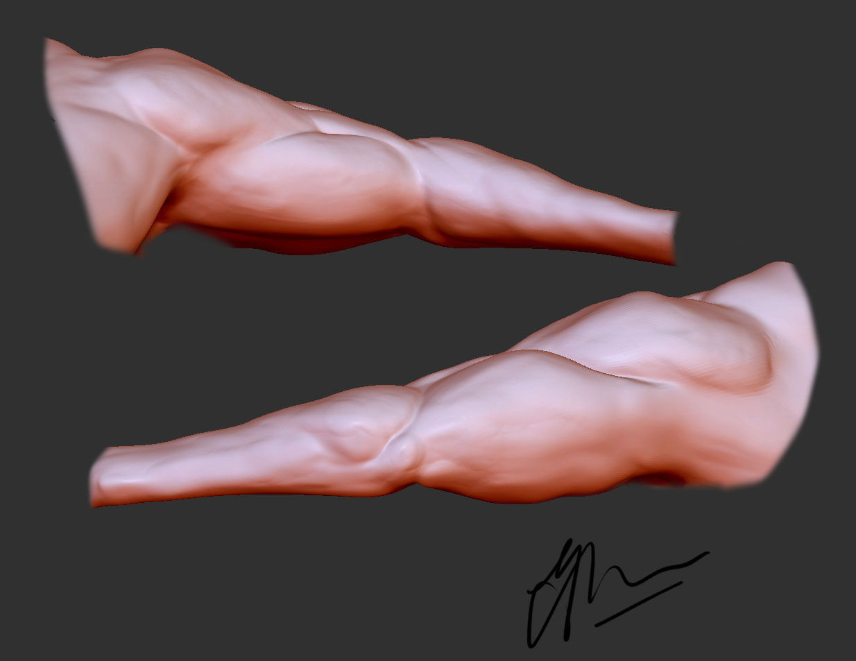 armFinal.jpg