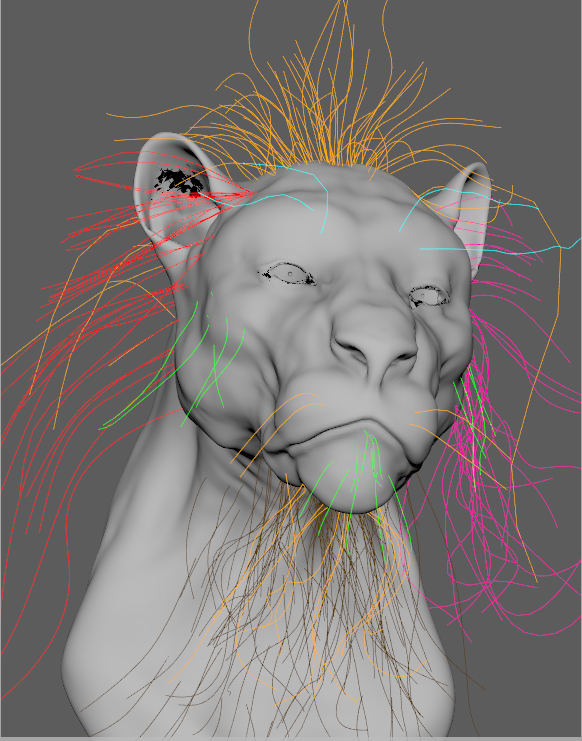 Viewport