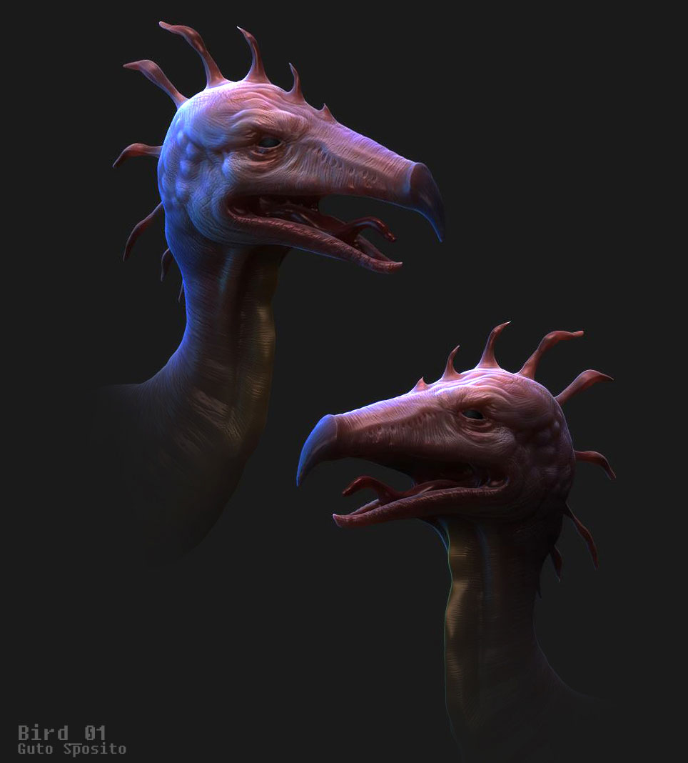 Bird.jpg