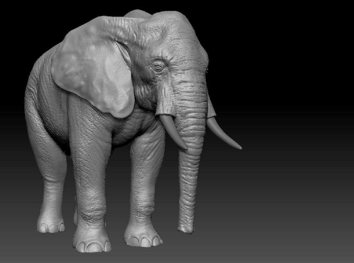 render_beauty_updated_01web.jpg