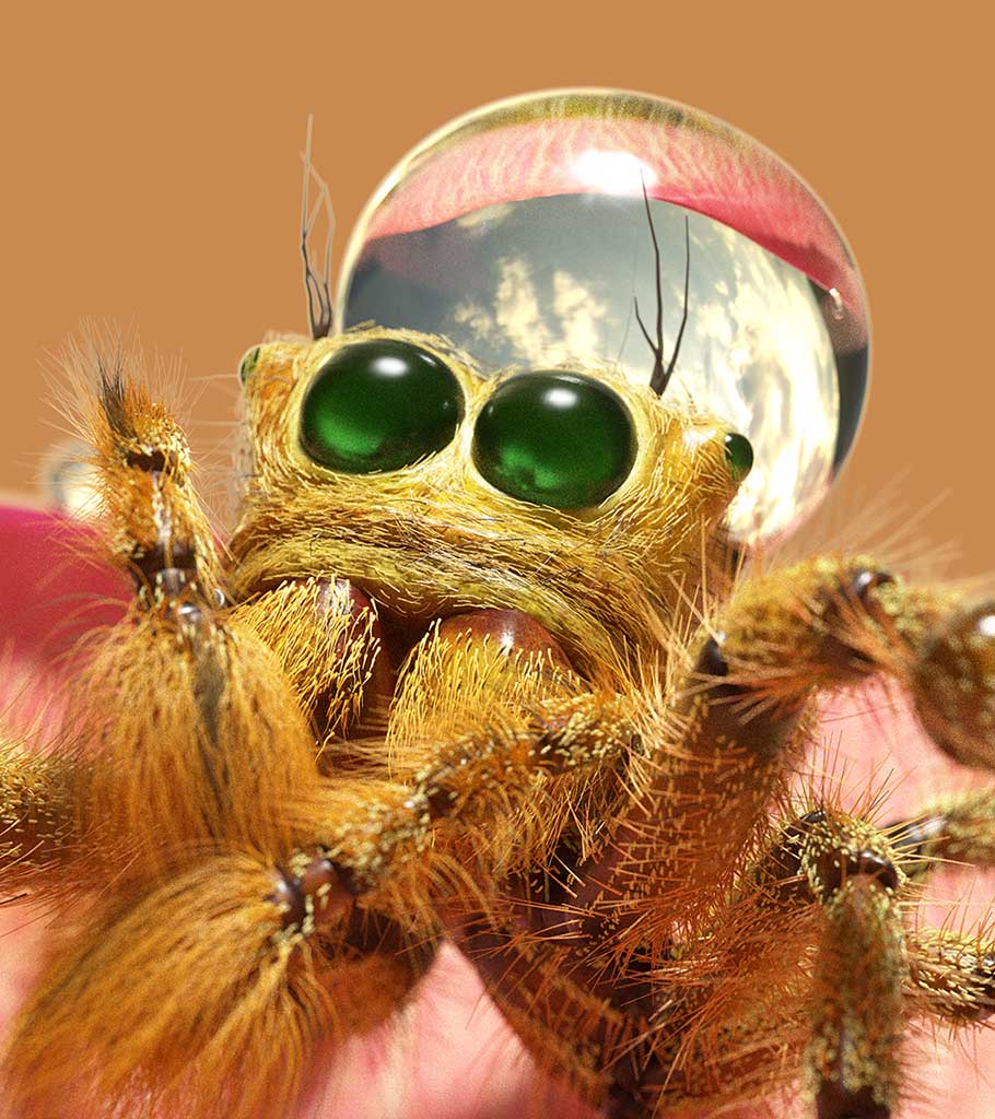goldenJumper_zbc01.jpg