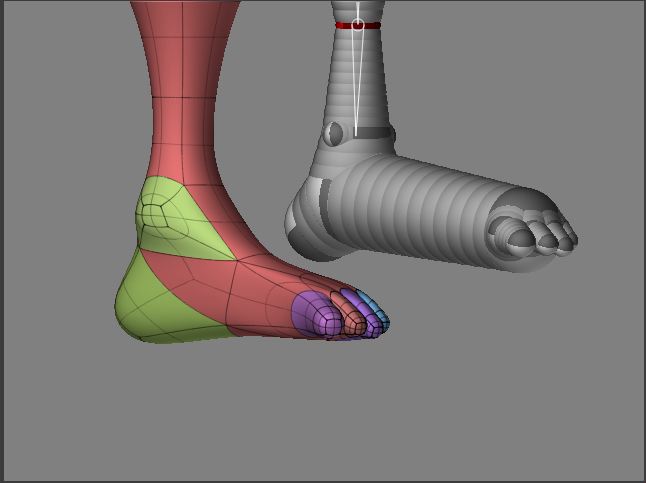 foot.jpg