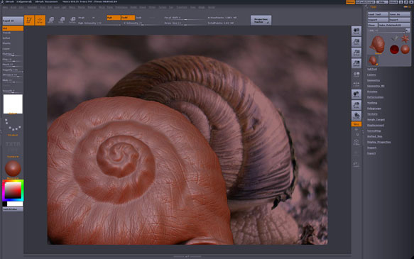 Snail22.jpg