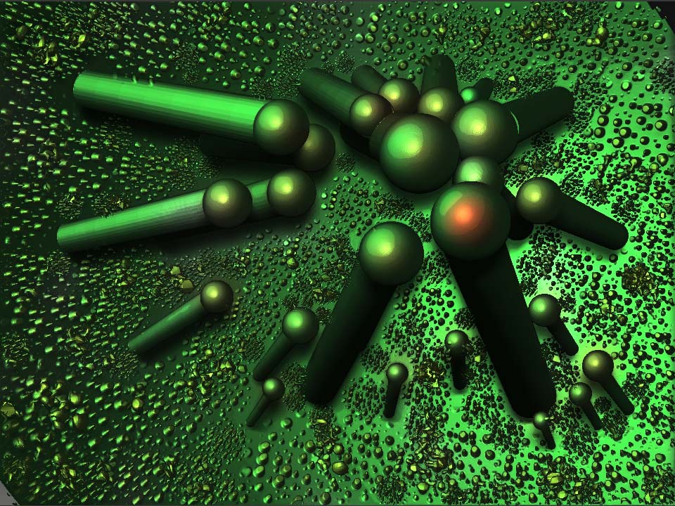 _BumpSpores_1web.jpg
