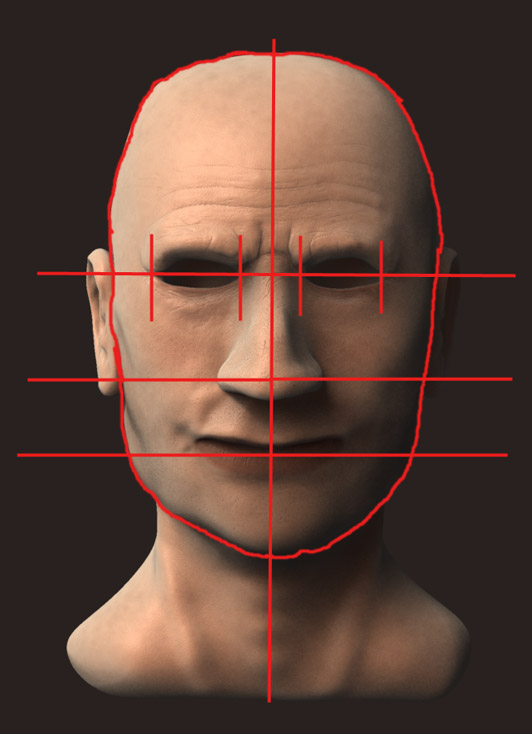 Hoofdproportion.jpg
