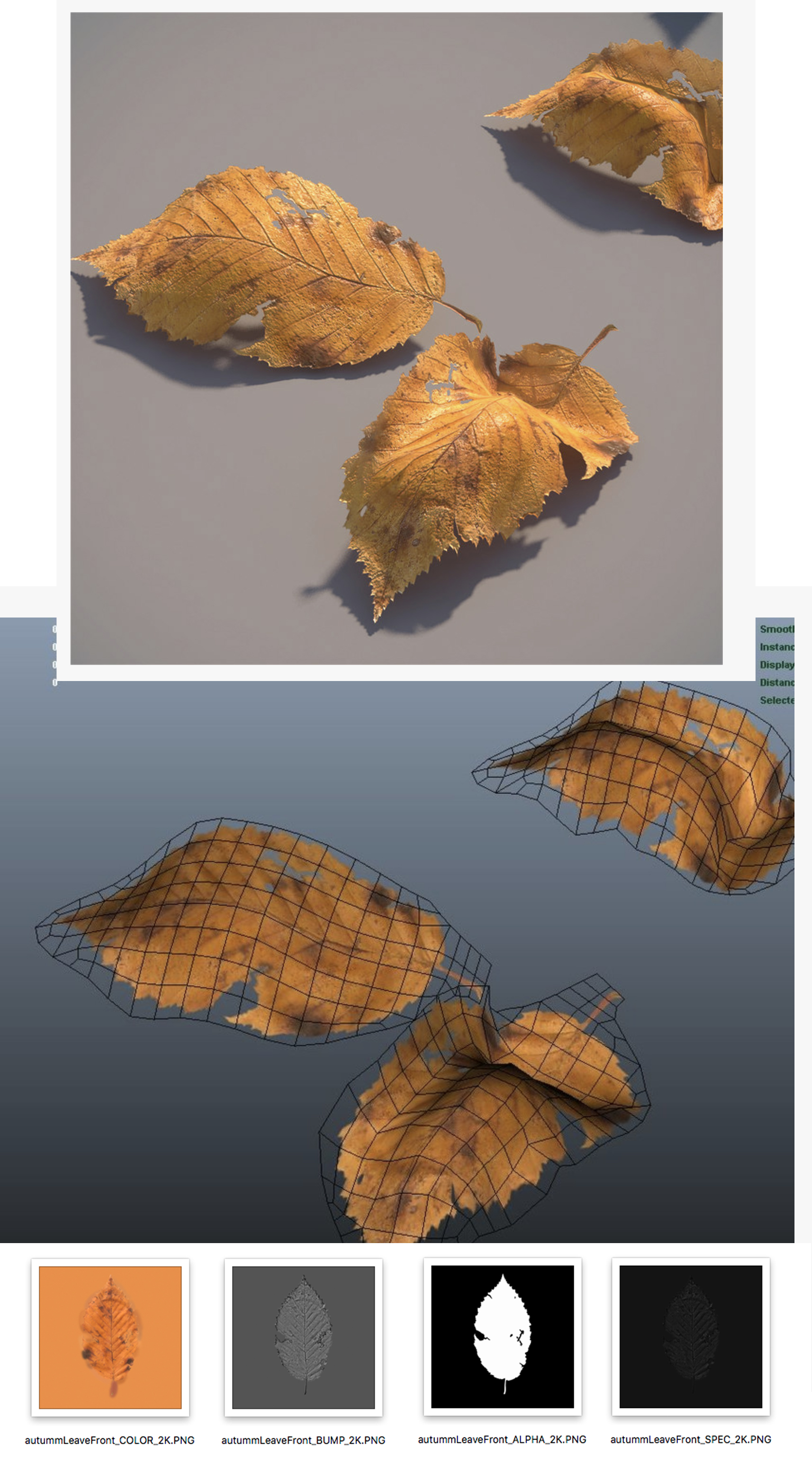 leaf alpha zbrush