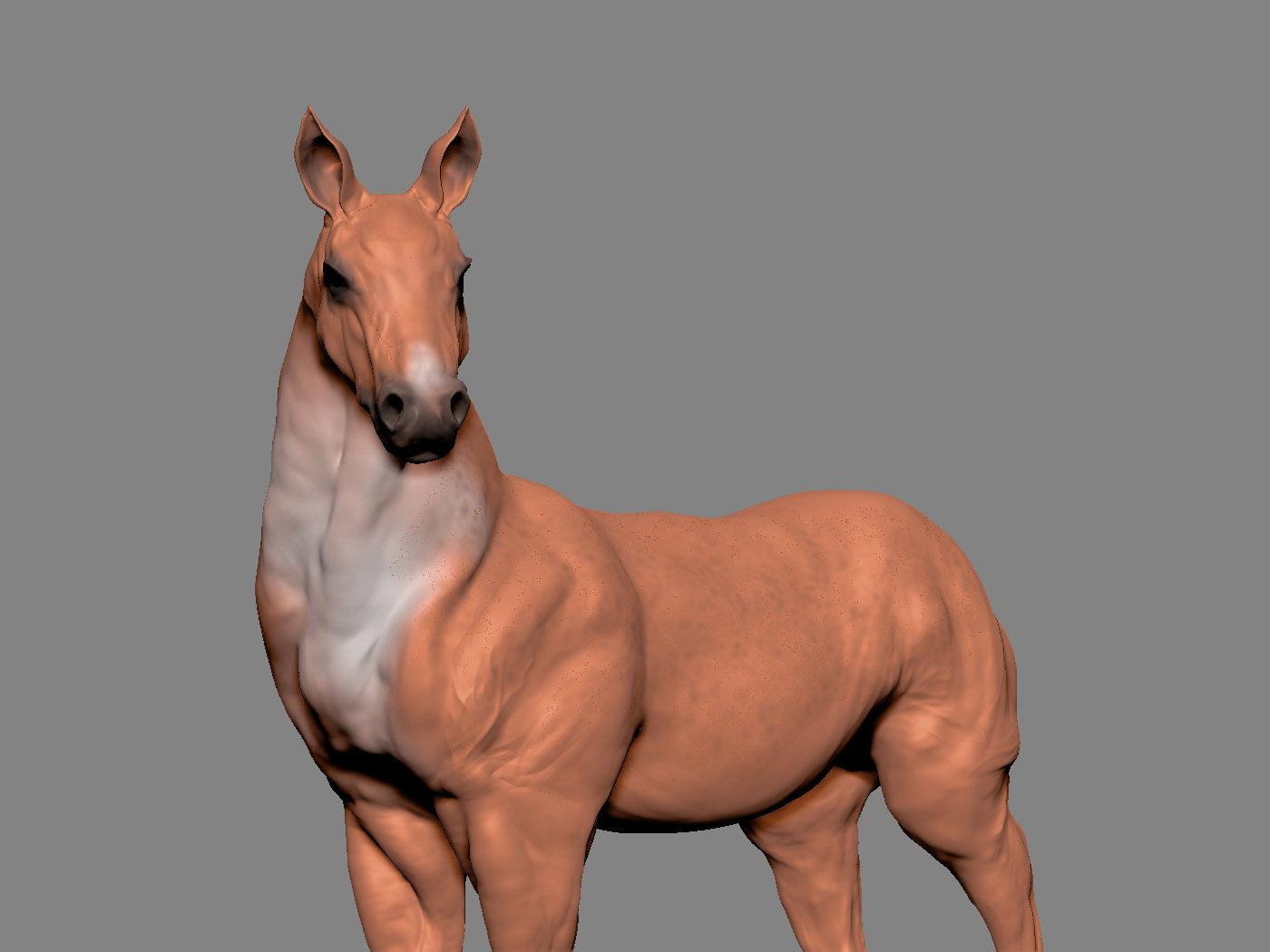 ZBrush Document01.jpg