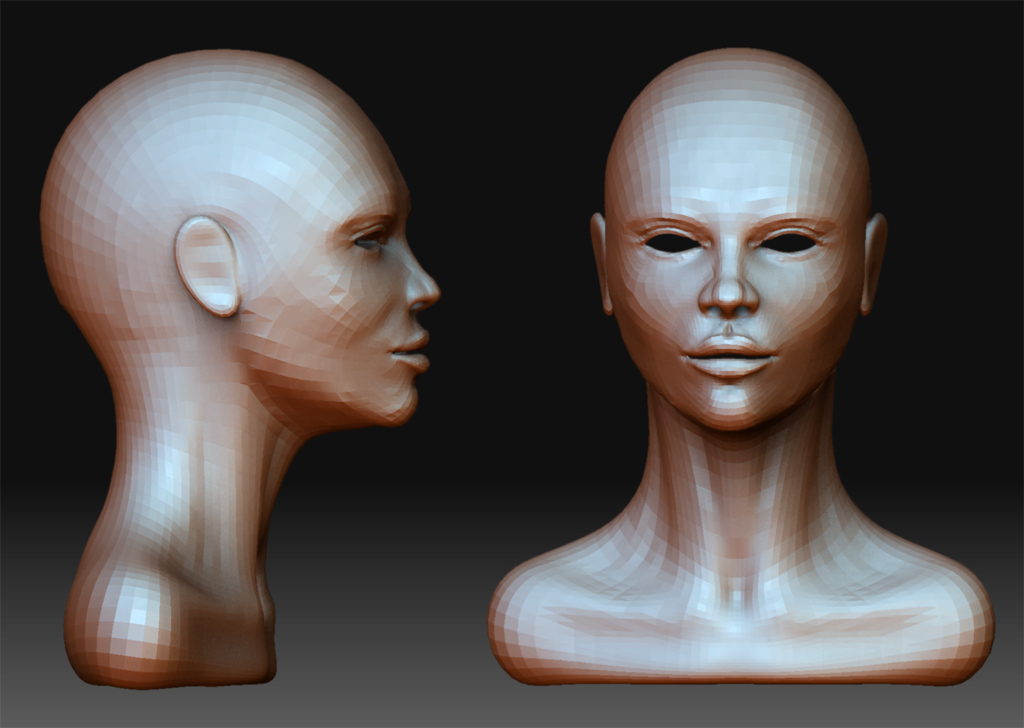 newfemhead1.jpg