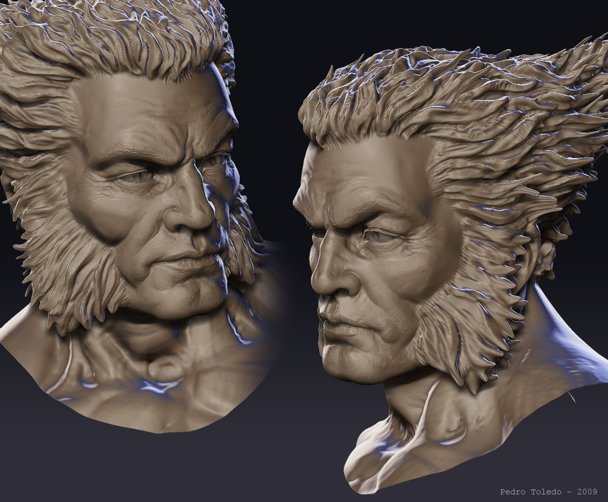 wolverine_06.jpg