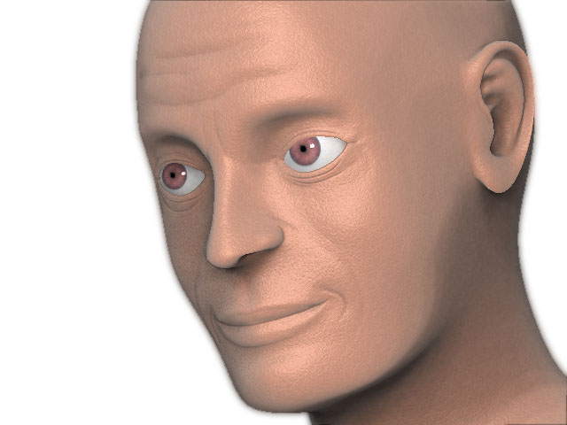 Head.jpg