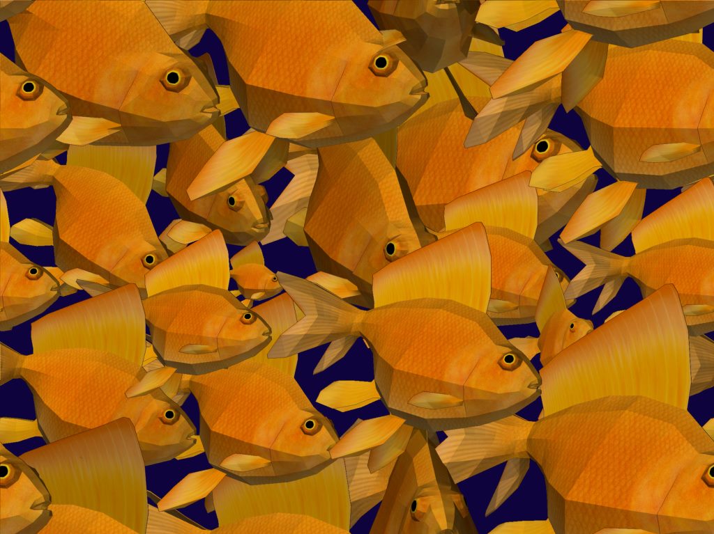 fishifishi.jpg