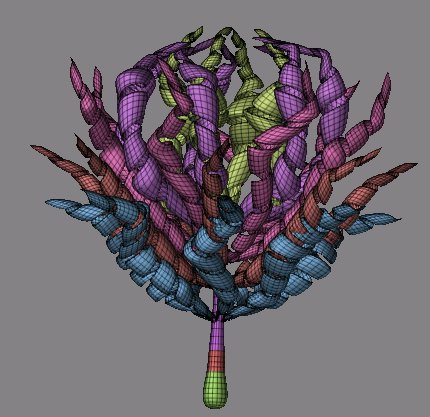 zbrush 9.jpg