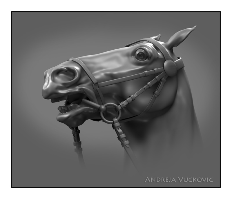 horse_AndrejaVuckovic.jpg