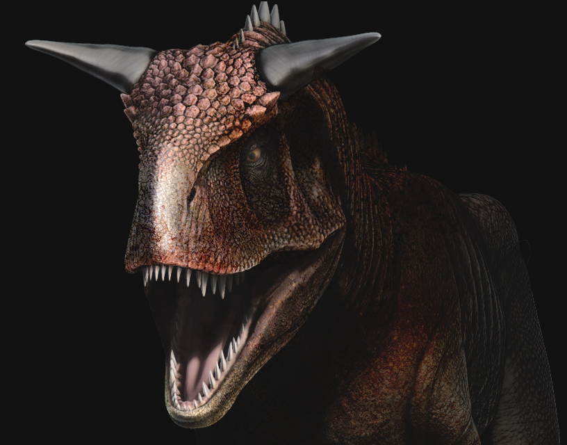 carnoTexture.jpg
