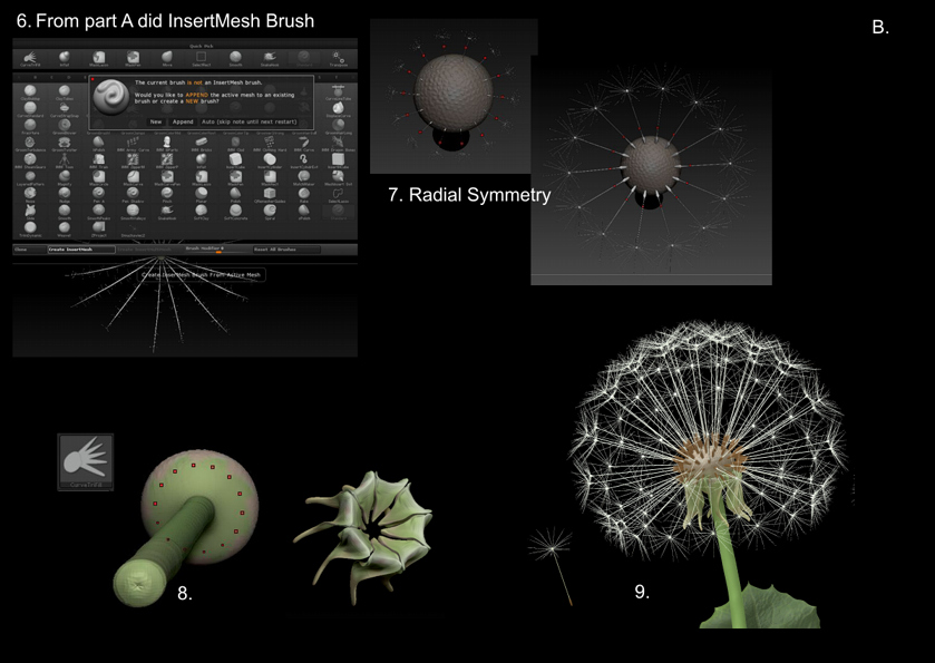 dandelion_explanation_2.JPG