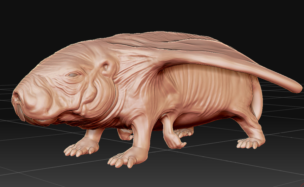 SandPuppyProgress_21.jpg