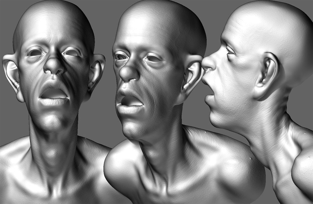 bust_3Views_zbrush.jpg