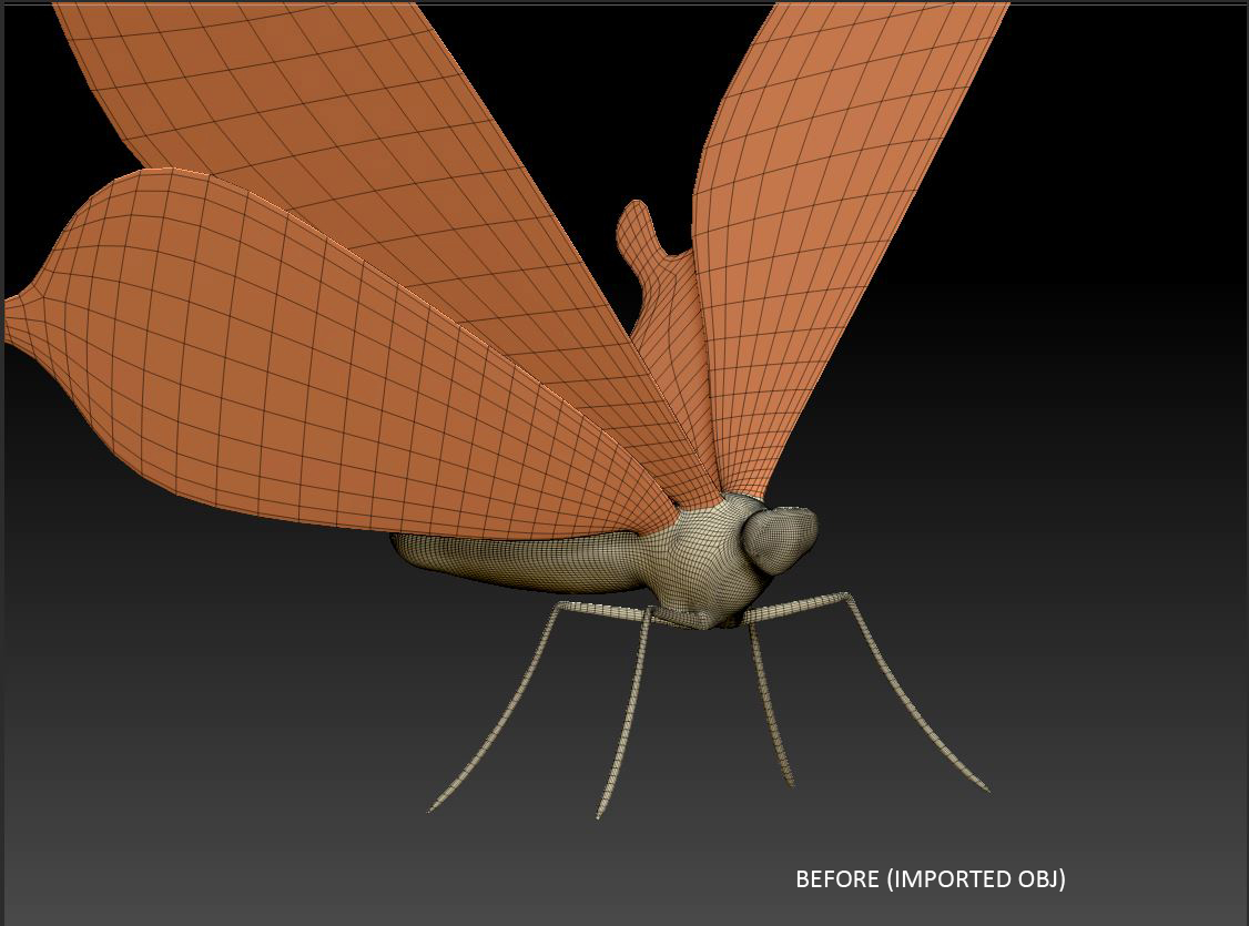 Mesh_01.JPG