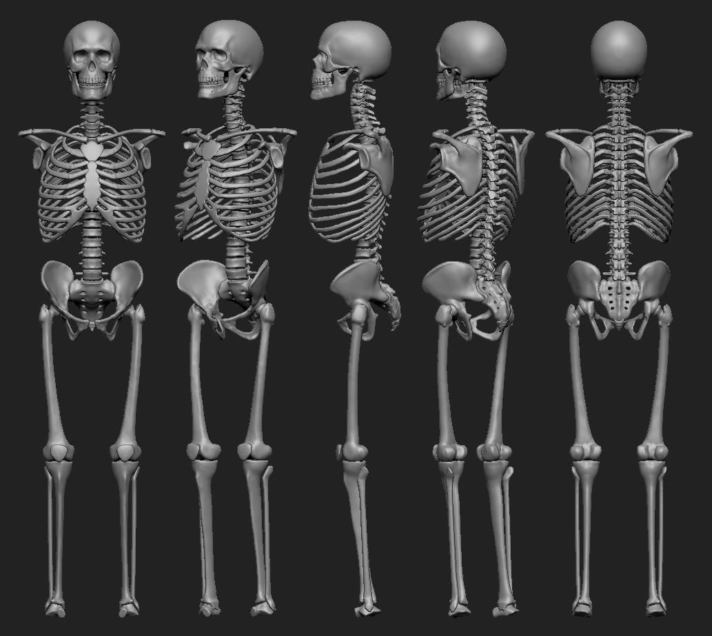 Skeleton_08.jpg